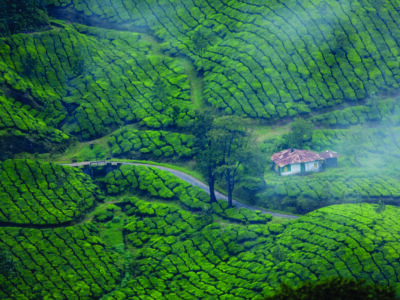 Munnar