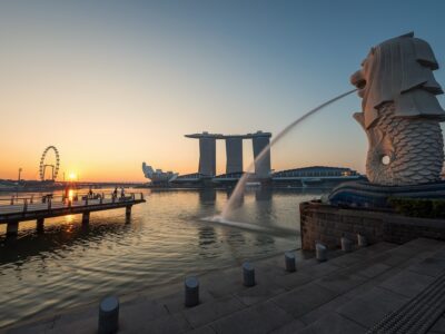 Sea lion Singapore