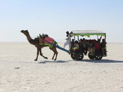 Rann Of Kutch