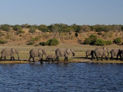 Sri Lanka Group Tour