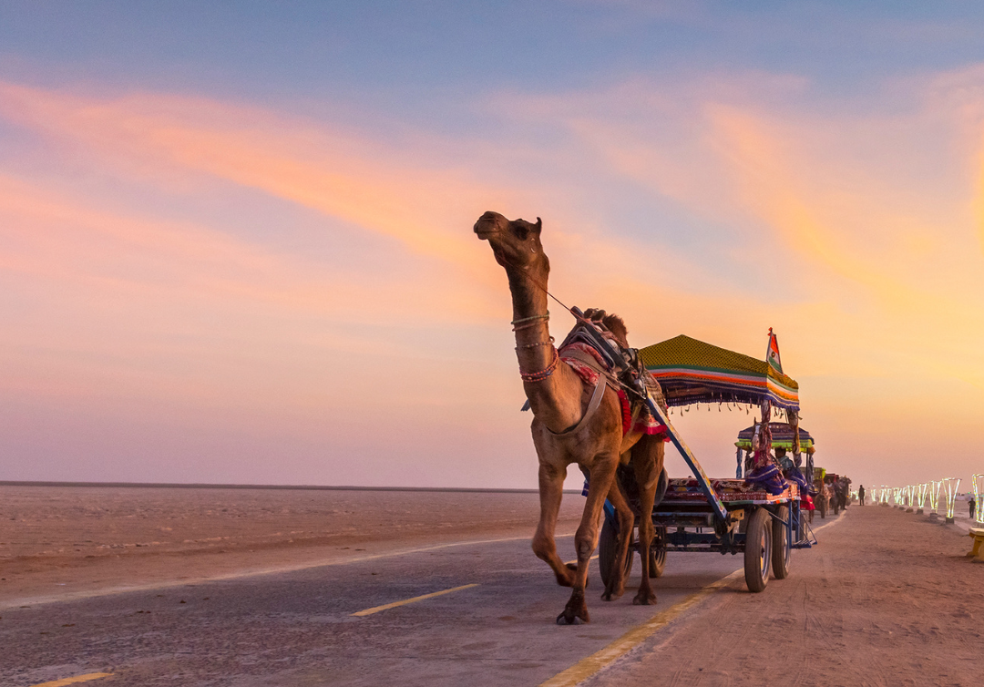 White Rann