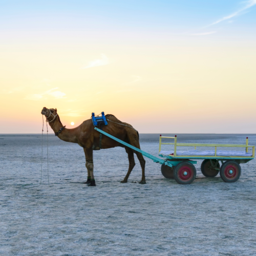 Kutch Experience